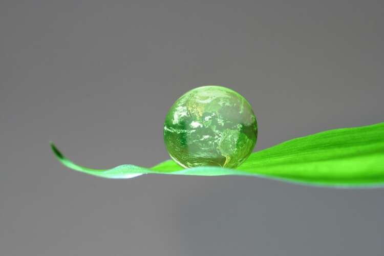 Image for Rishi Sunak Shares Further Information on Government’s Green Bonds Scheme