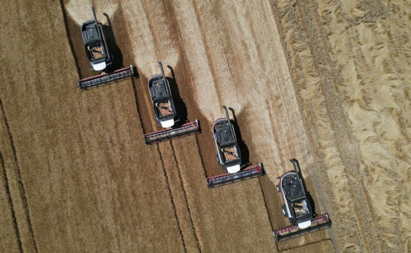 Image for World food prices hit record high in 2022