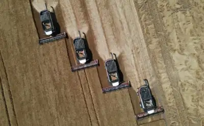 Image for World food prices hit record high in 2022