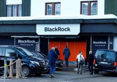 Image for BlackRock creates Transition Capital unit to tap climate opportunities -memo