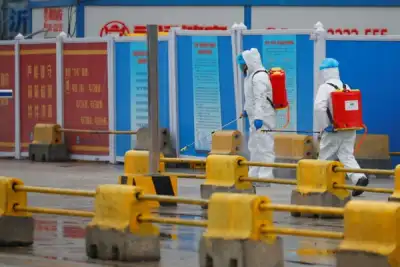 Image for First COVID-19 case could have emerged in China in Oct 2019 – study