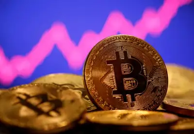 Image for Bitcoin rally falters just short of $50,000 as investors take profit