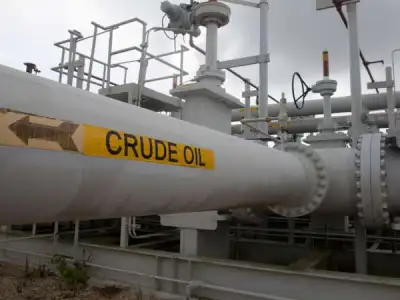 Image for Oil rebounds as market seizes on discounted prices