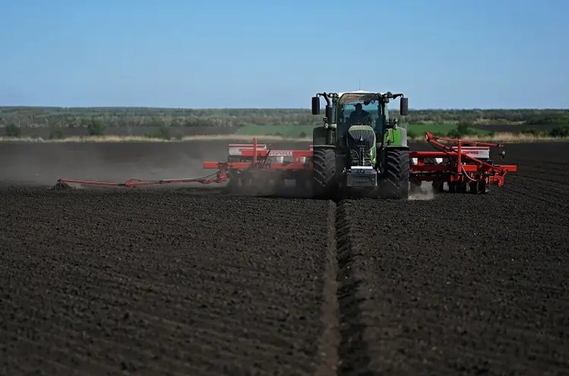 Image for Exclusive-Russia’s grain trader Demetra buys large stocks of sunflower seeds in Oct