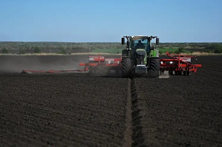 Image for Exclusive-Russia’s grain trader Demetra buys large stocks of sunflower seeds in Oct