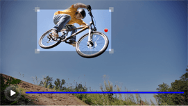 MUVEE Launches Suite Of Video Editing Applications On Google Play Store