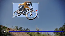 MUVEE Launches Suite Of Video Editing Applications On Google Play Store