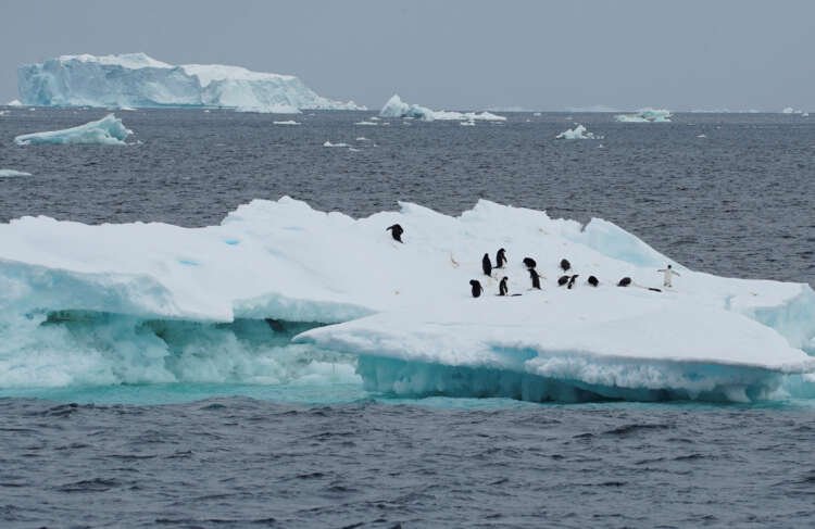 Scientists studying climate change effects on Antarctic sea ice - Global Banking & Finance Review