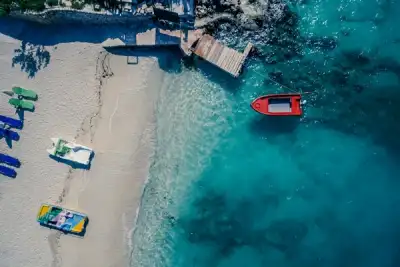 Image for Albania bans TikTok for a year after killing of teenager