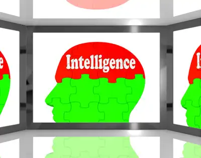 Image for DYN EVOLVES INTERNET PERFORMANCE SPACE WITH LAUNCH OF INTERNET INTELLIGENCE