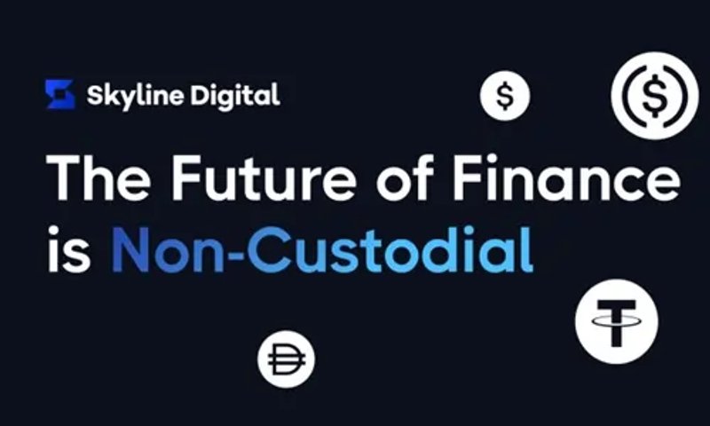 Image for Skyline Digital makes TradFi accessible on Web3