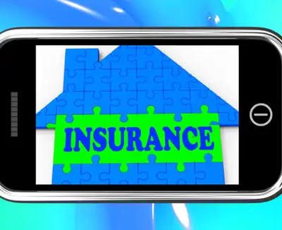 Image for INSURANCE: A RISKY BUSINESS?