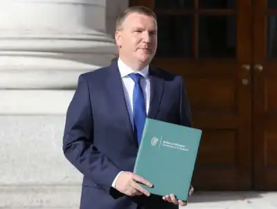 Image for Ireland lays out plans for 100 billion euro sovereign wealth fund