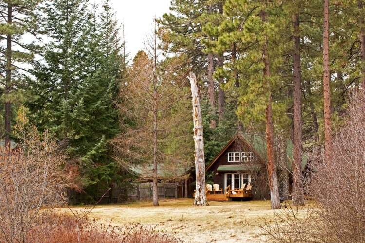 A cozy forest cabin symbolizing cost-effective timeshare solutions - Global Banking & Finance Review