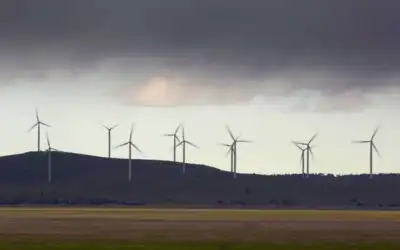 Image for UK’s Octopus buys Dulacca wind farm in Australia from RES