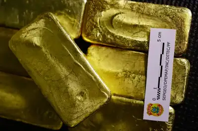 Image for New technology aids Brazil’s crackdown on illicit Amazon gold trade