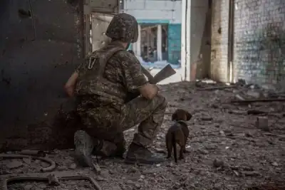 Image for Ukraine takes tentative step towards EU membership as Donbas battles reach ‘fearsome climax’
