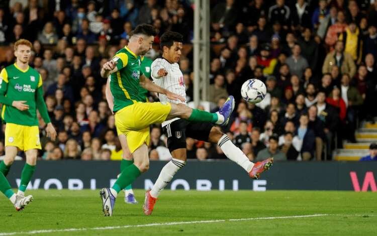 Image for Soccer-Fulham seal Premier League promotion with win over Preston