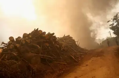 Image for Analysis-Climate change, scarcity chip away at degrowth taboo