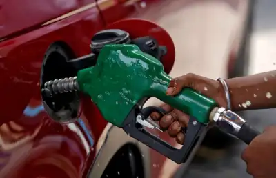 Image for Oil climbs on tight supply, renewed risk appetite