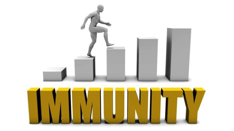 Image for Herd immunity: the unlikely link between Covid-19 &amp; compliance