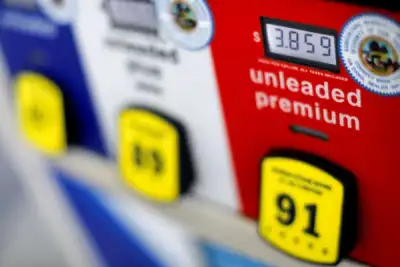 Image for Oil set for steady gains as economies shake off pandemic blues – Reuters poll