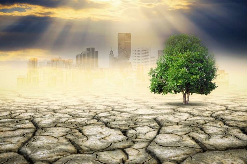 Image for Feeling the heat: Banks eye climate change risk