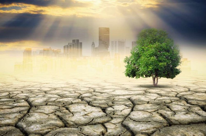 Image for Feeling the heat: Banks eye climate change risk