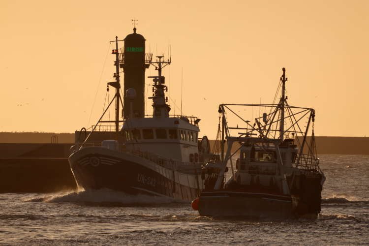 Image for EU clears 100 million euro French aid for Brexit-hit fisheries sector
