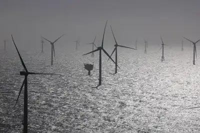Image for Global offshore wind industry poised to miss big targets as obstacles mount