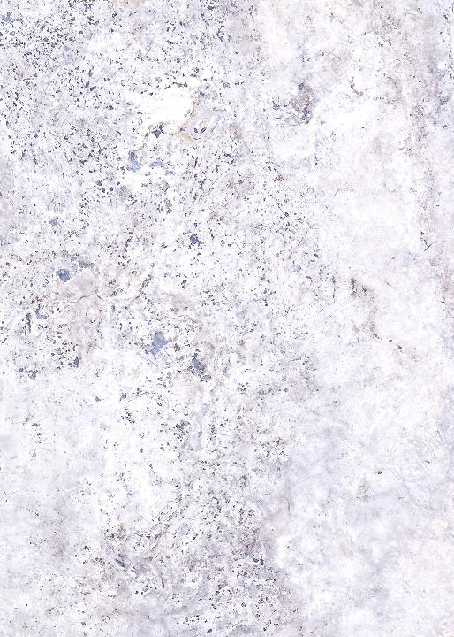 Đá Silver Travertine — travertine Thổ Nhĩ Kỳ, ảnh bề mặt