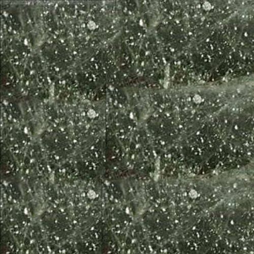 Đá Green Galaxy — Brazil, ảnh bề mặt