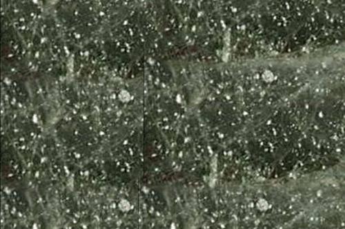 Đá Green Galaxy — Brazil, ảnh bề mặt