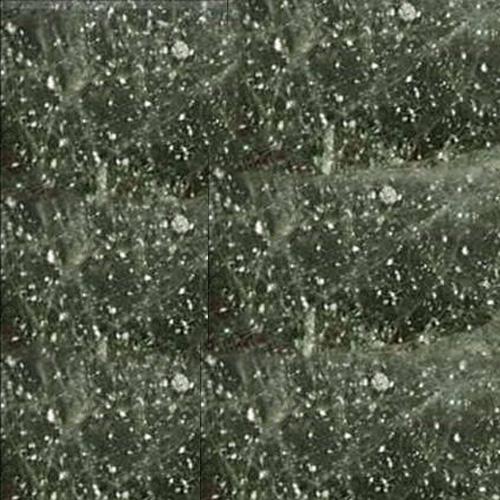Đá Green Galaxy — Brazil, ảnh bề mặt