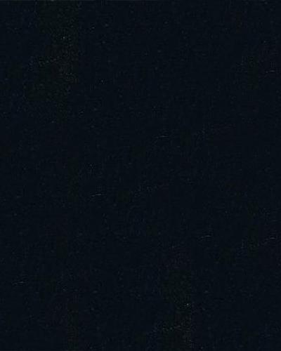 Belgian Black