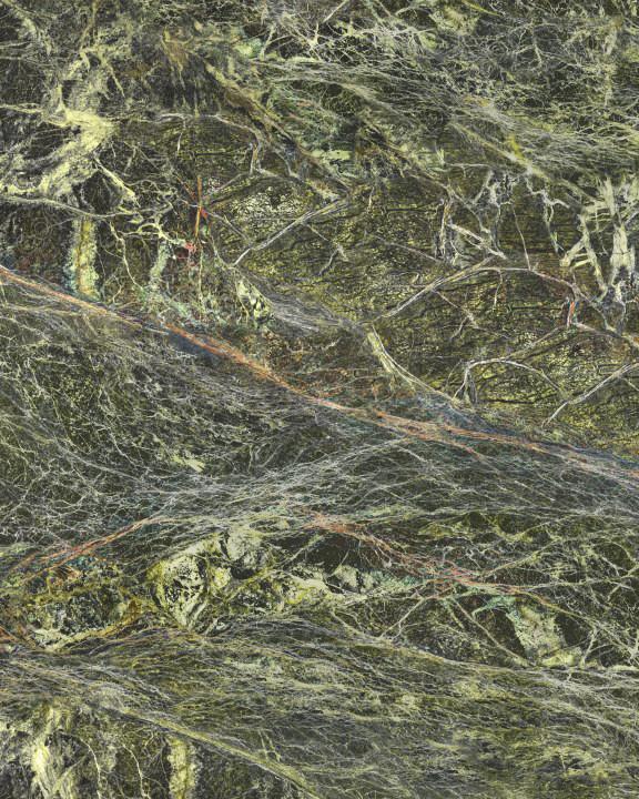 Rainforest Green