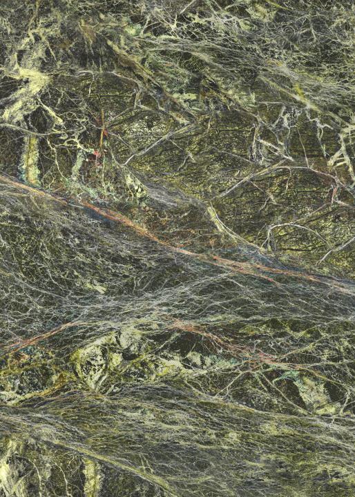 Đá Rainforest Green — đá marble (cẩm thạch), ảnh bề mặt