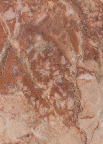 Đá Breccia Pernice — Ý, ảnh bề mặt
