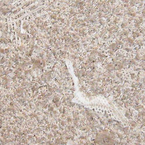 Đá Indiana Limestone — Mỹ, ảnh bề mặt