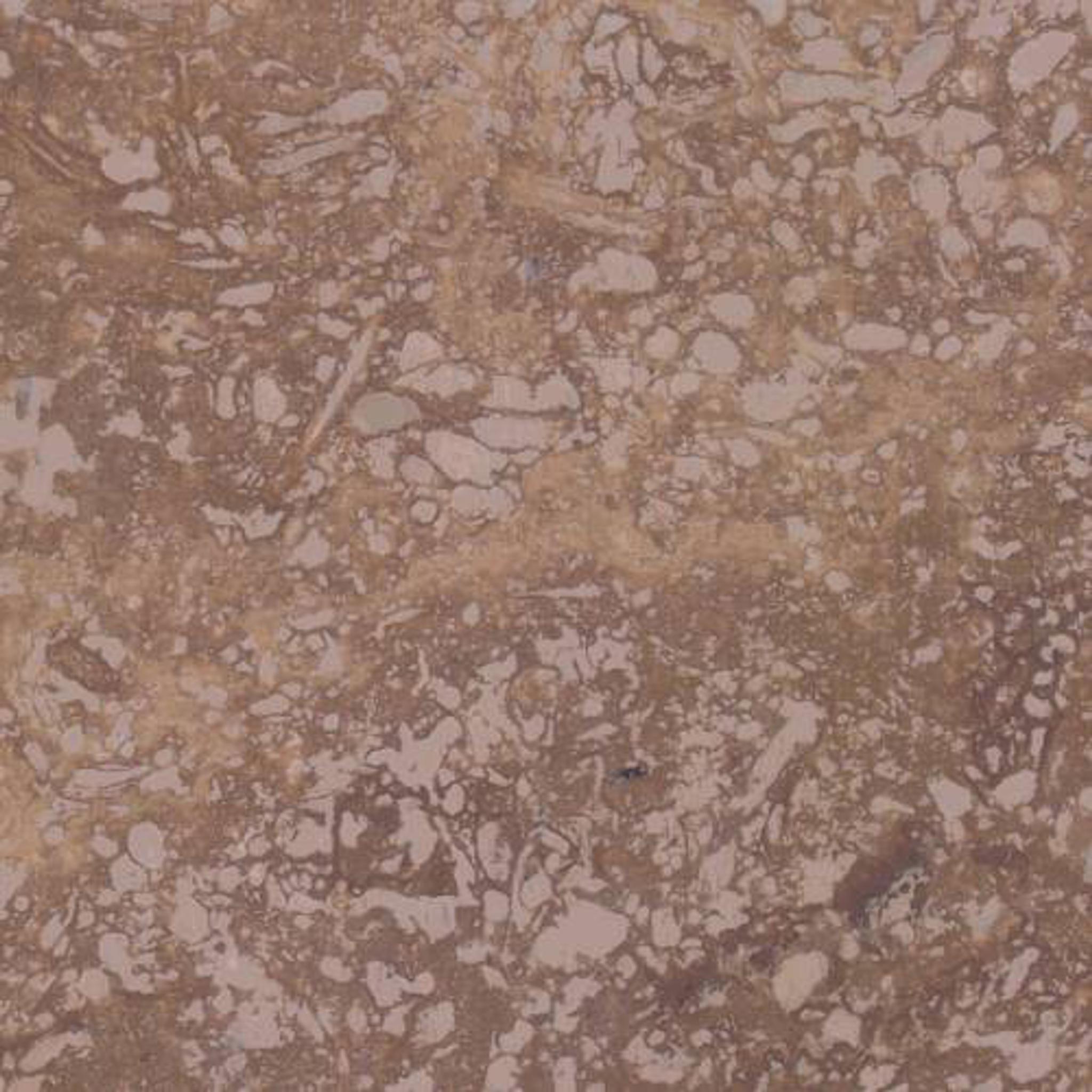 Đá Durango Stone — travertine Mexico (Durango), ảnh bề mặt