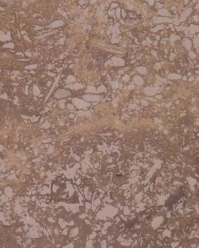 Đá Durango Stone — travertine Mexico (Durango), ảnh bề mặt