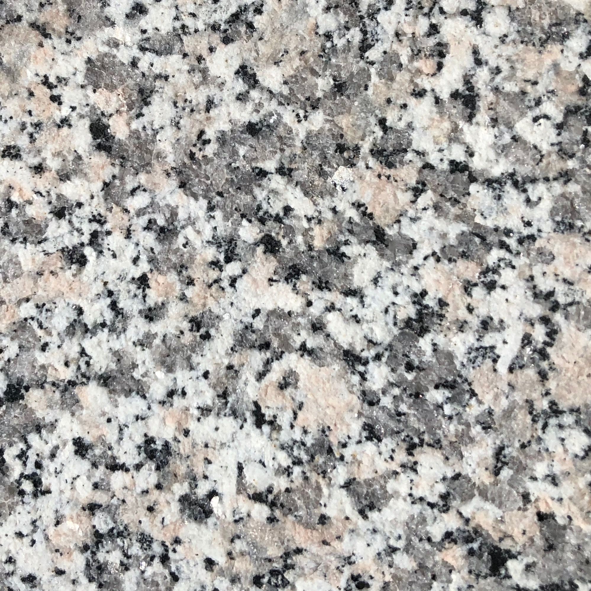 Bianco Sardo