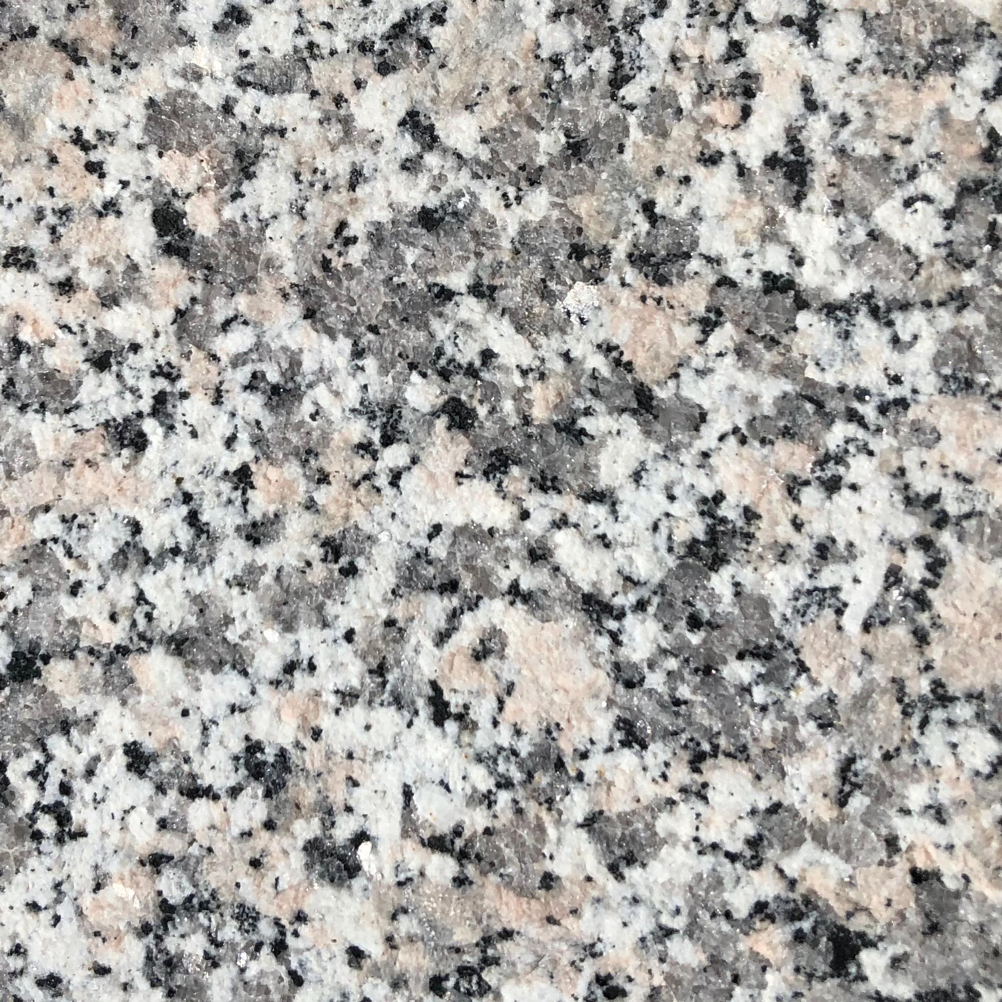 Đá Bianco Sardo — granite xám sáng Sardinia (ảnh bề mặt)