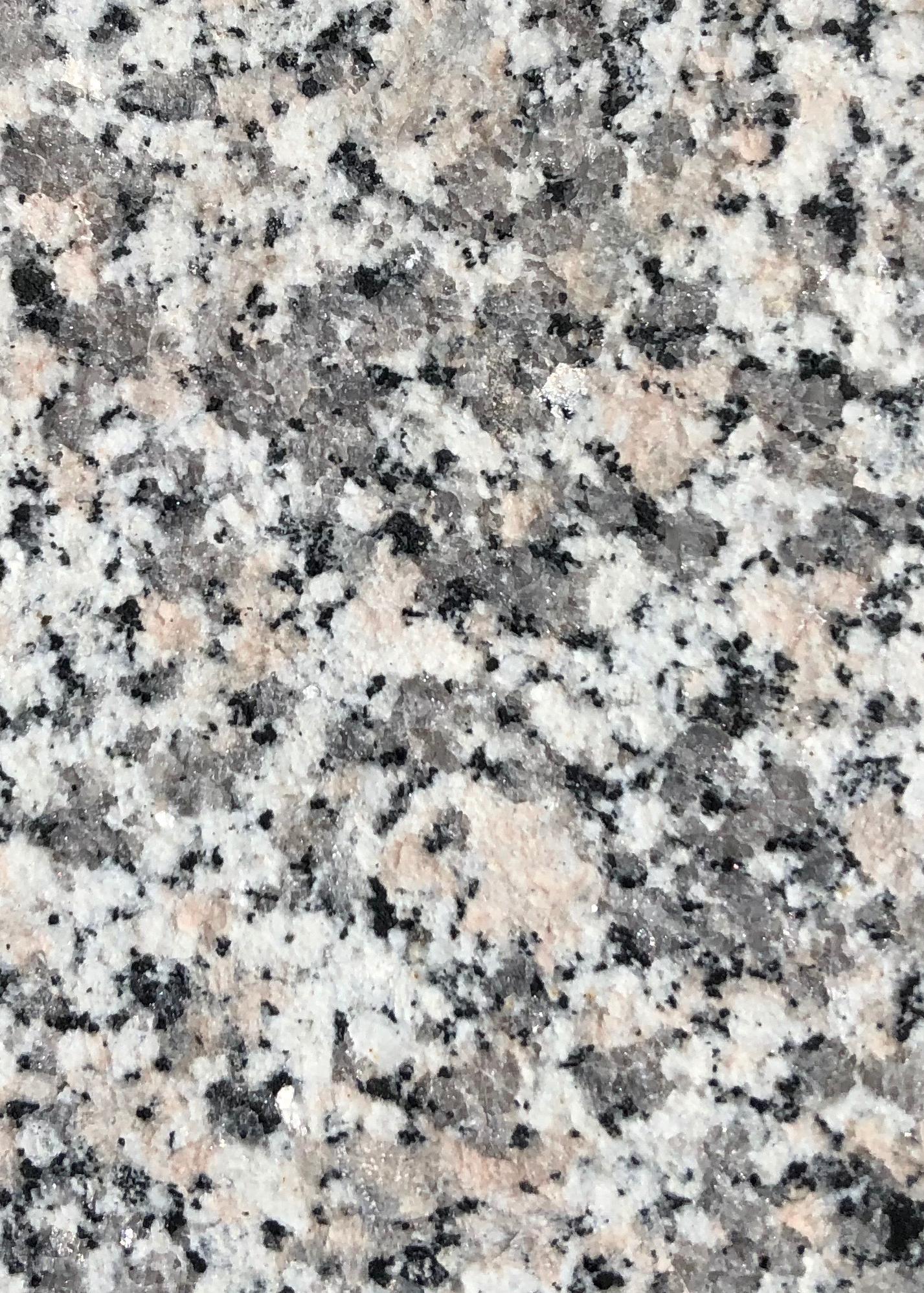 Đá Bianco Sardo — granite xám sáng Sardinia (ảnh bề mặt)