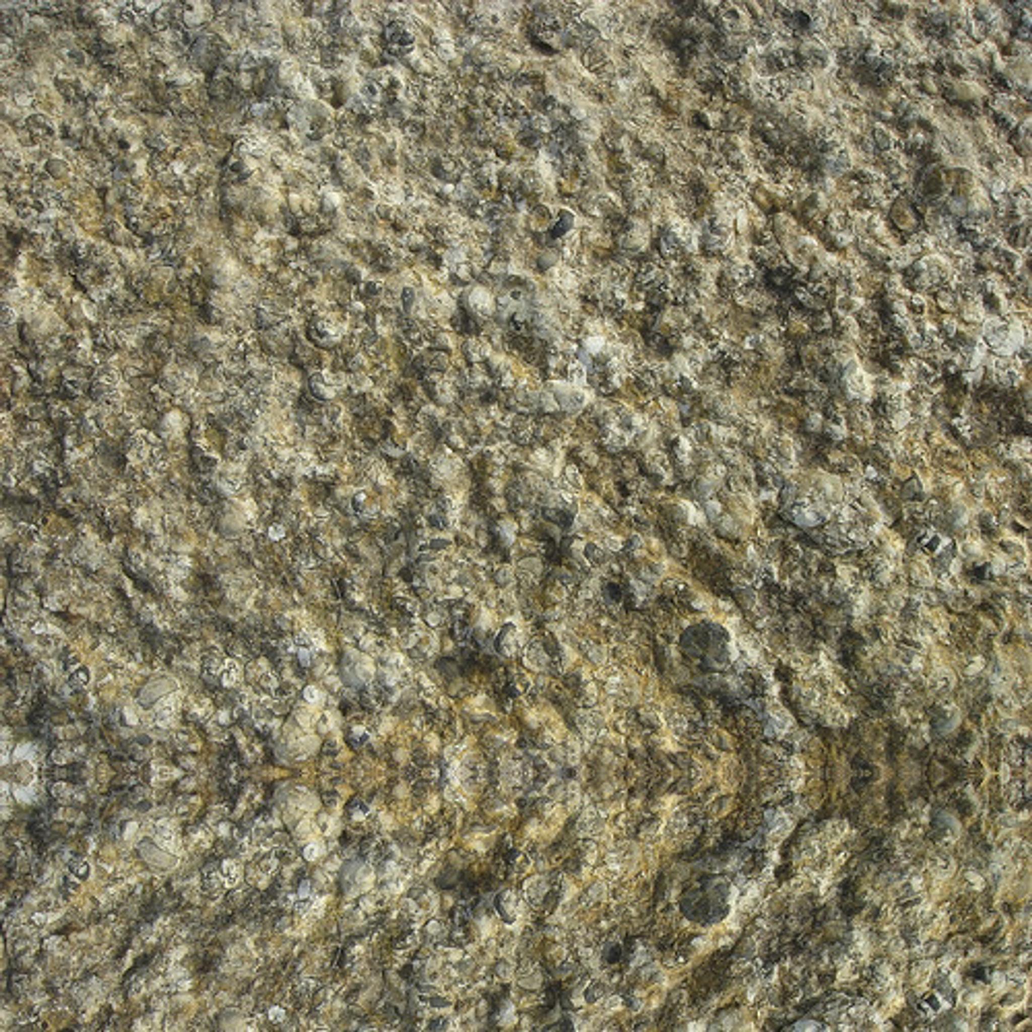Đá Purbeck Stone — Anh, ảnh bề mặt