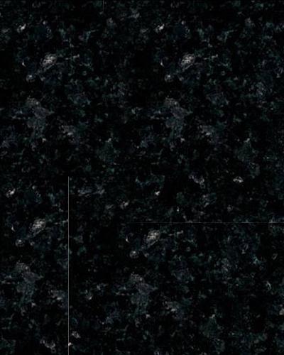 Labrador Black