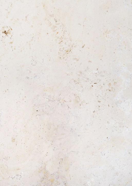Đá Ataija Creme — đá vôi (limestone), ảnh bề mặt