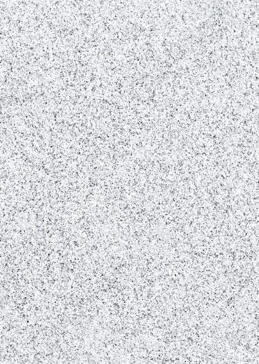Granite trắng xám muối tiêu (nhóm Bianco Sardo / Padang White) — đá tự nhiên Rochelle Stone