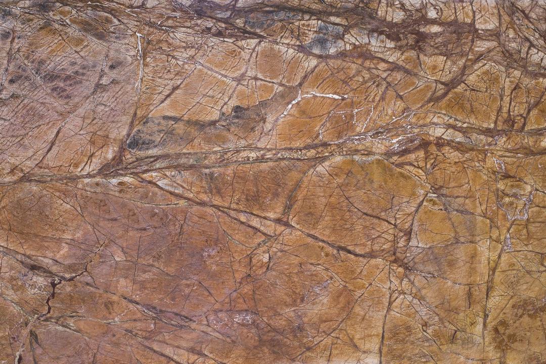 Đá Rainforest Brown — đá marble (cẩm thạch), ảnh bề mặt