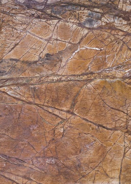 Đá Rainforest Brown — đá marble (cẩm thạch), ảnh bề mặt
